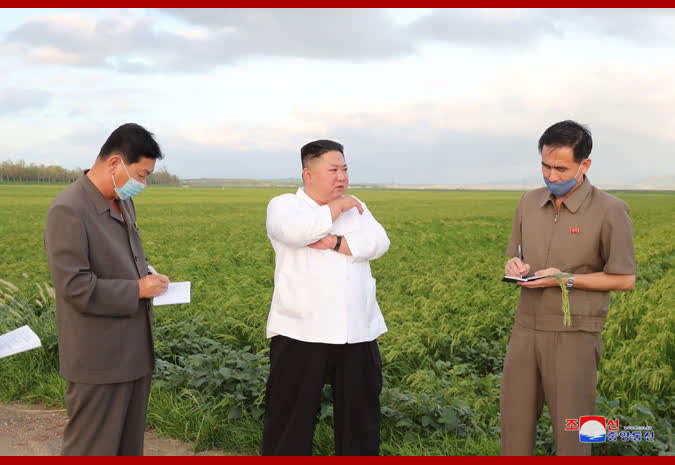 朝鲜最高领导人金正恩考察台风受灾地区灾情-中青在线