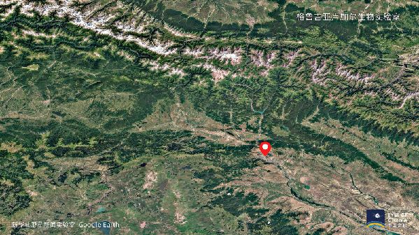 卫星直击美国全球生化实验室