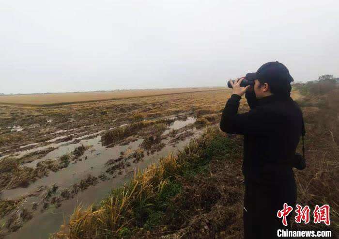 12月8日下午,余干县林业局野生动植物保护管理站站长雷小勇在康山垦殖