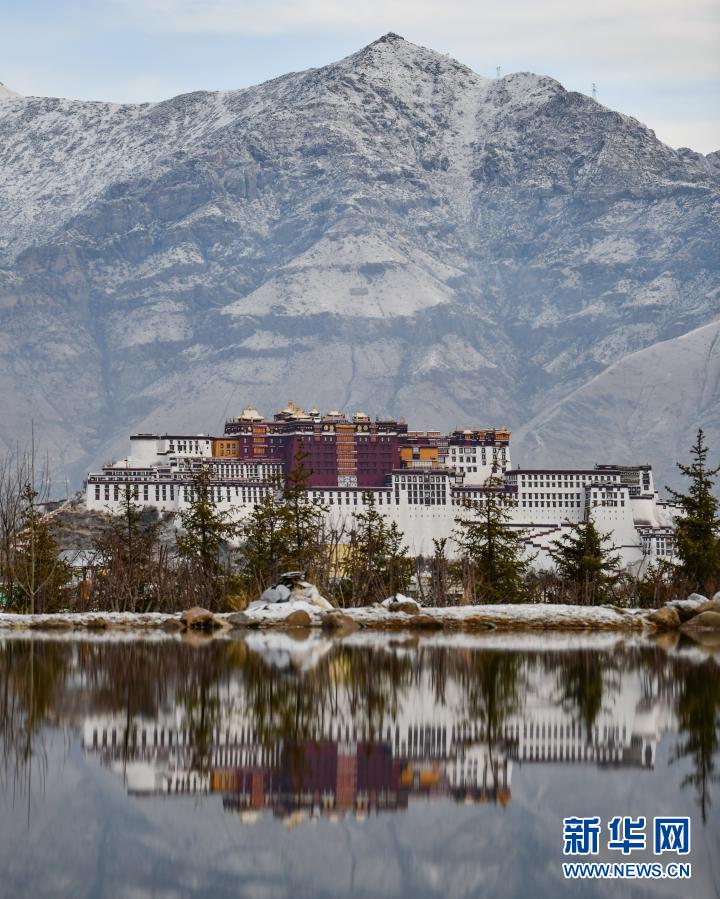 这是布达拉宫雪景(2月11日摄.