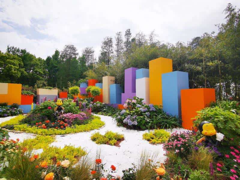 这些大学生的课程作业是在上海造一个"魔法花园"