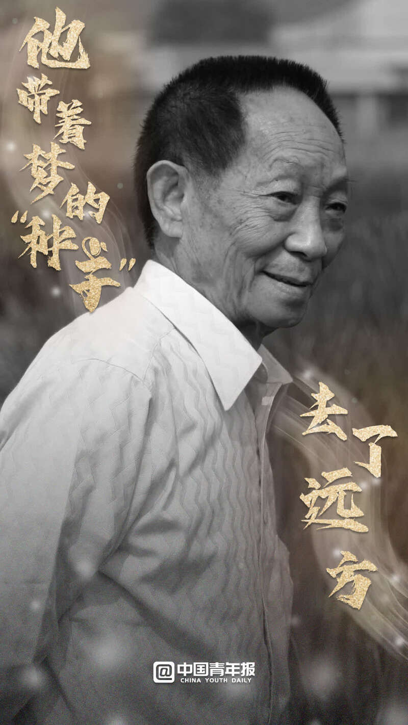 哀悼"杂交水稻之父"袁隆平!他带着梦的"种子"去了远方