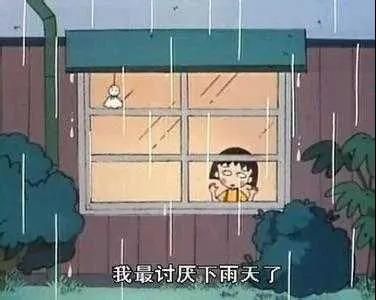 为什么又下雨了