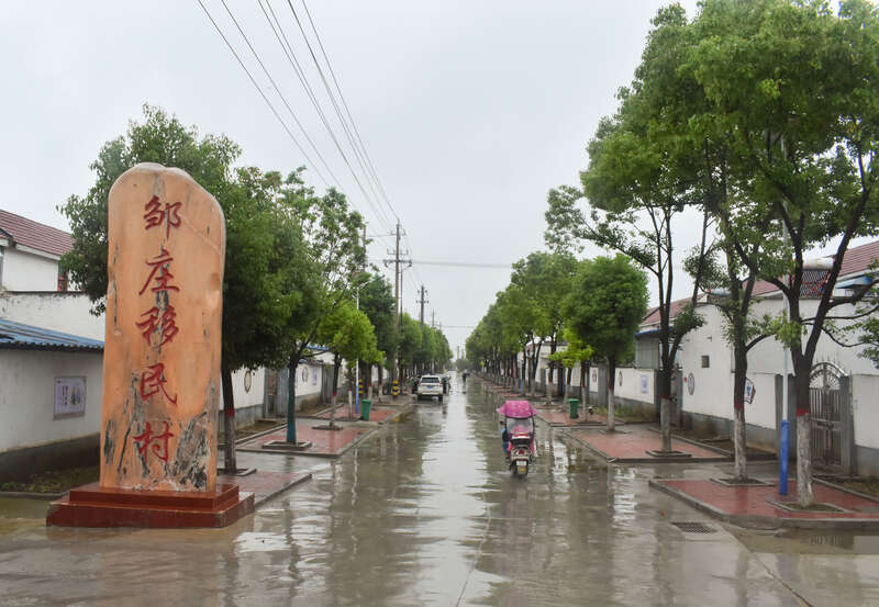 环顾邹庄村,丹江绿色果蔬园基地内,猕猴桃,葡萄成熟