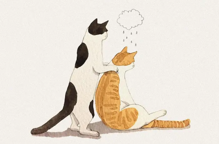 一只校园流浪猫的独白