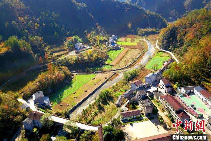 探访湖北夷陵脱贫村:靠山吃山 致富路宽