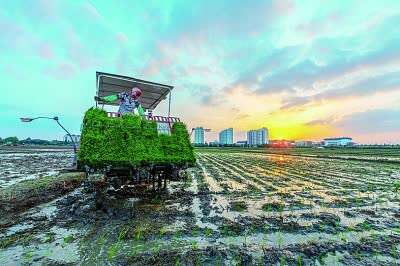 首页>暖闻>正文 2020年10月,山西省平陆县圣人涧镇晴岚村的村民们在