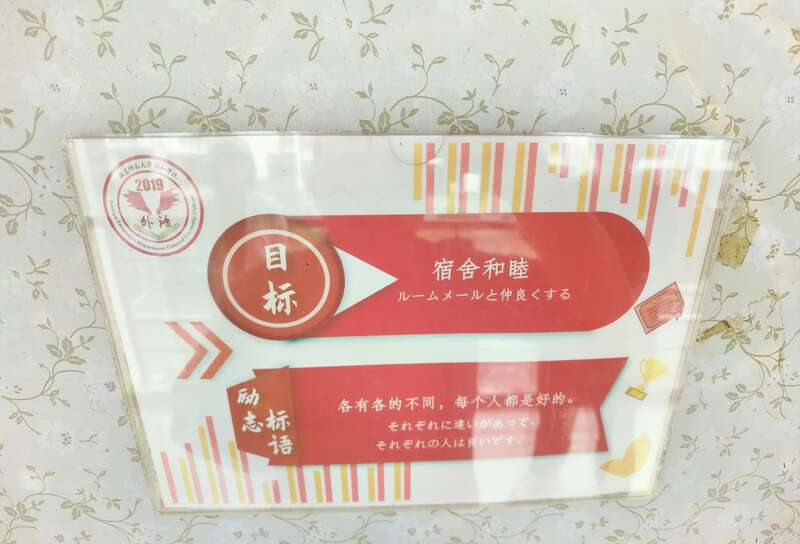 不止于好看福师大协和学院把美育融入宿舍文化