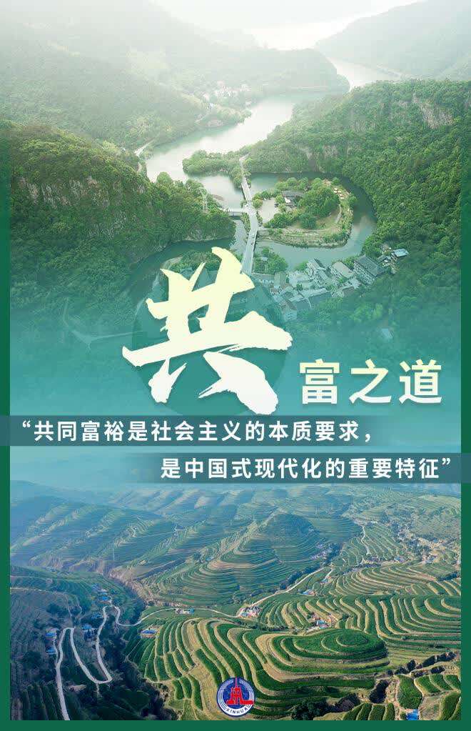 从共字看扎实推进共同富裕习近平经济思想的生动实践述评之五