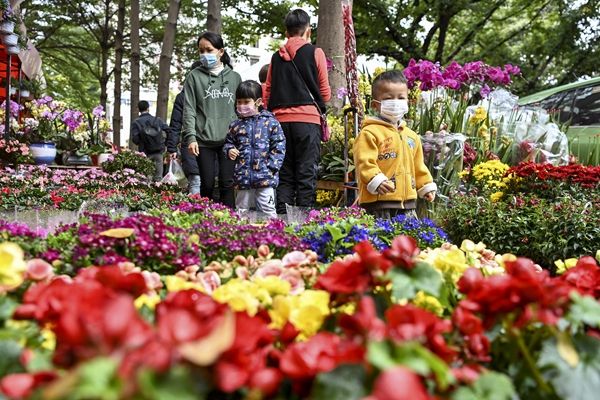 广州市民逛花市迎春节