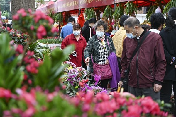 广州市民逛花市迎春节