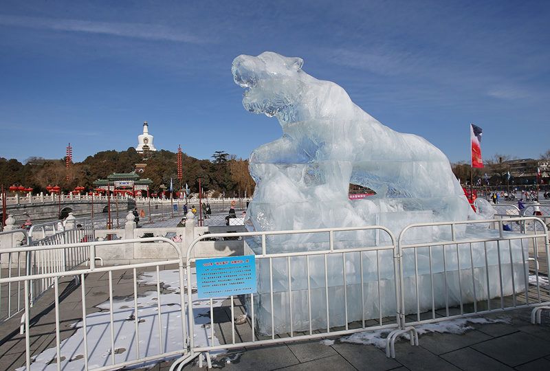 北京,虎年春节将至,市民游客纷纷打卡北海公园和巨型冰雕虎合影留念