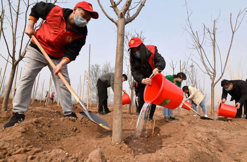 遵化市刘备寨乡参加义务植树活动的志愿者在挖坑准备植树(无人机照片)