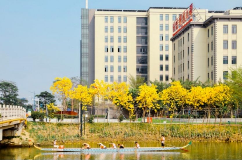 首页>我的大学>正文833_552