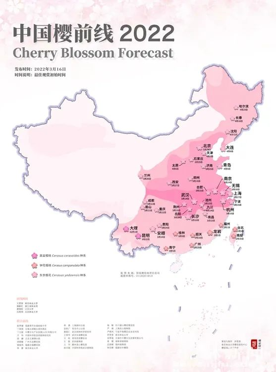 全国赏樱地图来啦中国樱前线2022正式发布 " 