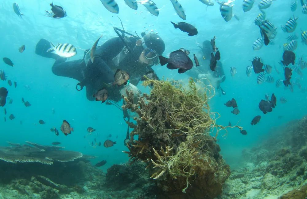 海洋牧场再次被媒体关注一起来看海大人的十年海底科研路