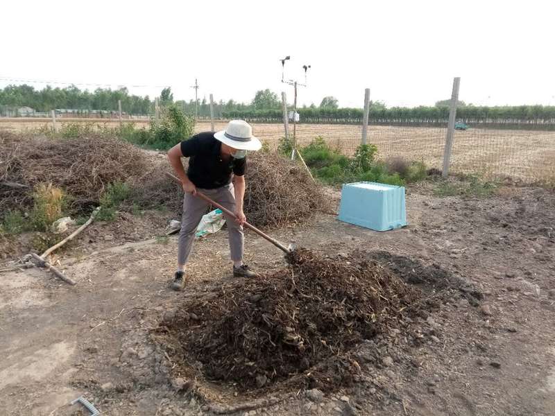 回去,改变农村-中青在线