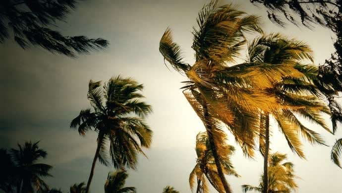 【海上记忆】大风刮过崇明岛的日子