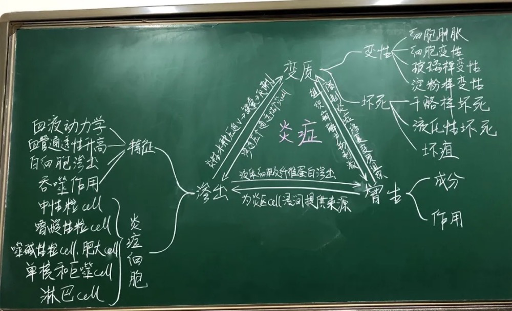 我的老師身懷絕技不捨得擦的板書又雙叒叕上新了