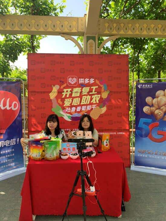 女性创业爱"拼"才会赢 新疆90后海归转型拼多多新农人