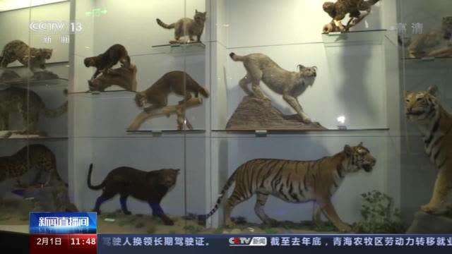 探秘国家动物博物馆走进动物多样性的宝库-中青在线