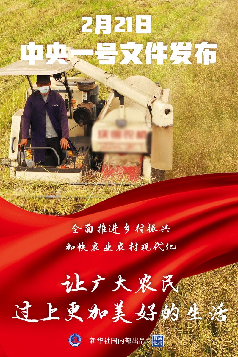 2021年中央一号文件提出全面推进乡村振兴
