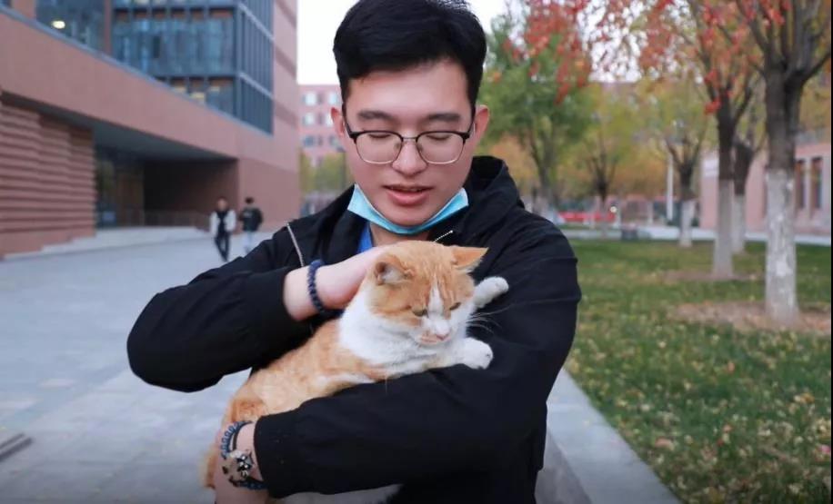 叶航宇和南开大学津南校区的猫咪图源:何雨珊采访|侯依含编辑