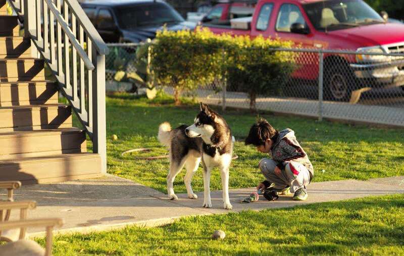 研究发现阳光充足程度关联新冠病亡人数 中青在线