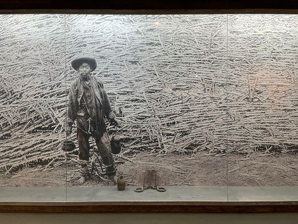 特写|小护照背后的大国复兴路-中青在线