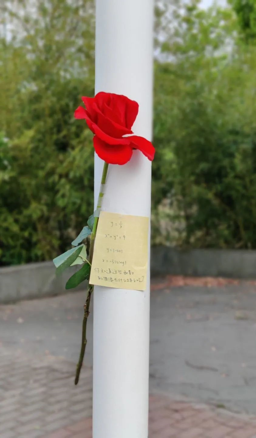 火了江南应急玫瑰这也太浪漫了