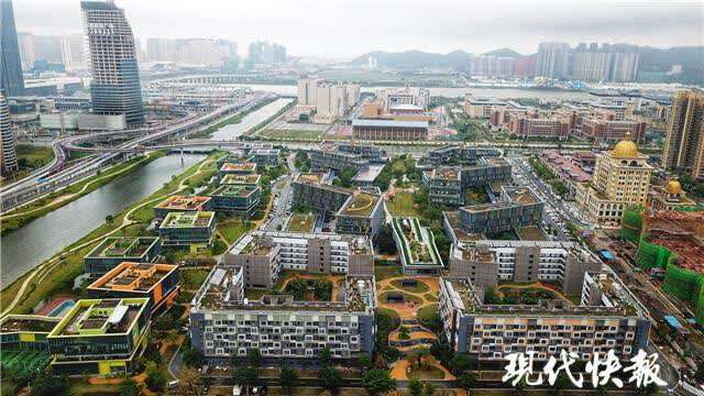 激荡大湾区②丨专访柳智毅:港澳青年应与国家发展同频共振
