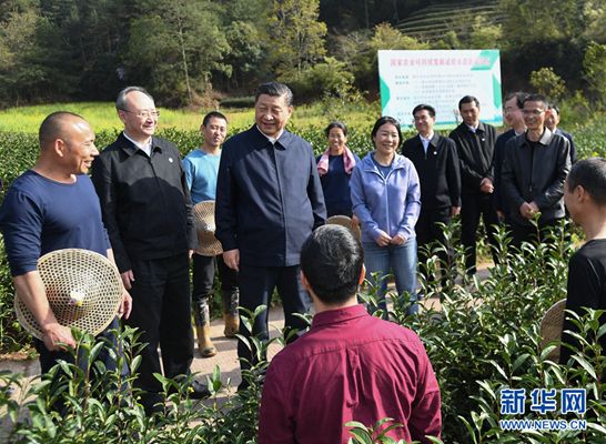 陕西农林卫视致富经_陕西农林卫视致富经_陕西农林卫视致富经