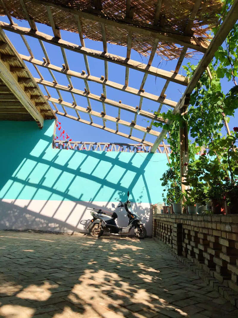 墩艾日克村一户村民的庭院，顺势生长的葡萄藤生机勃勃。