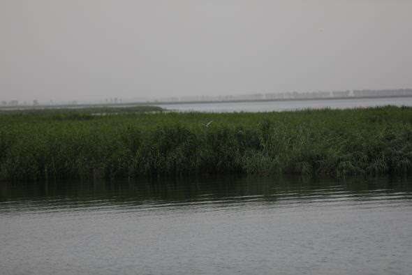 如今的乌梁素海，水质已持续好转。