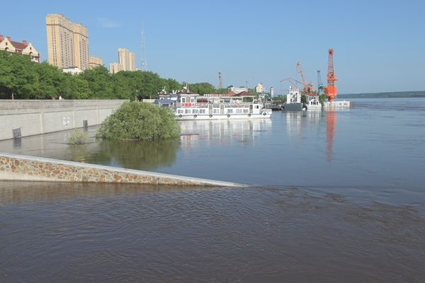 2021年6月24日,黑龙江黑河,大黑河岛部分区域被水淹没,水位继续上涨