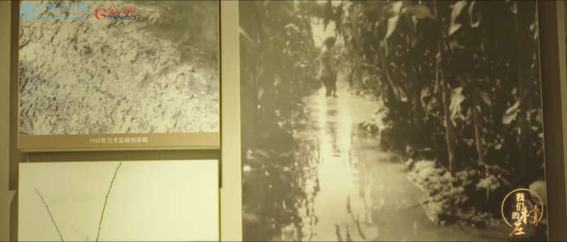 河南省双杨树村:绿我涓滴 造福一方——弘扬焦裕禄精神