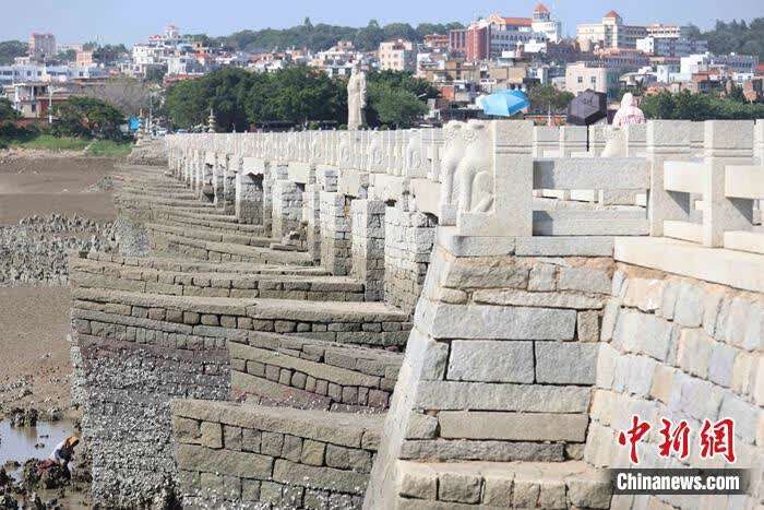 7月8日，泉州洛阳桥。蒋启明 摄