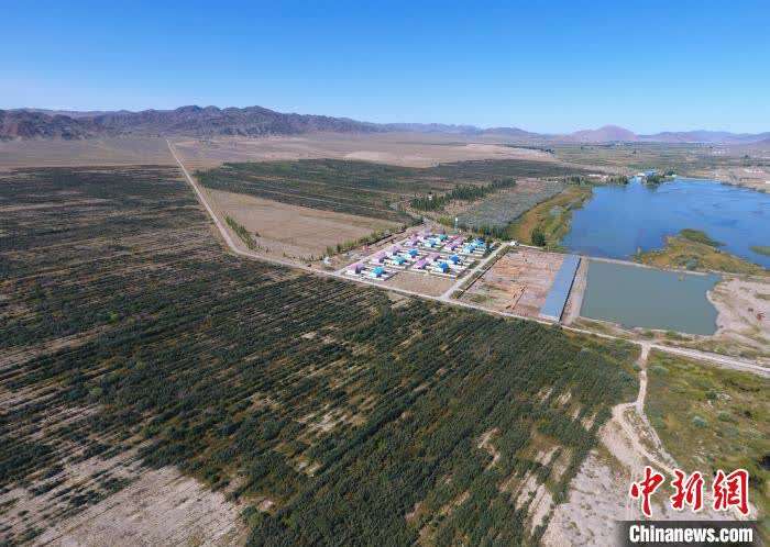 31年守护边境 他在戈壁上建家园