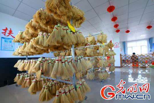 笤帚苗变身艺术品 产业振兴稳脱贫防返贫
