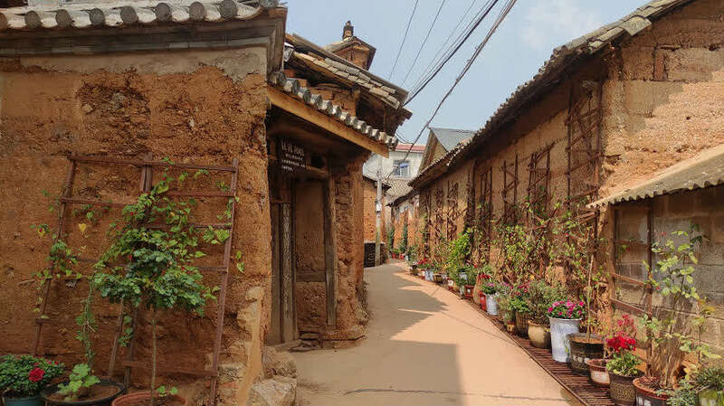 雁塔村被花香包围着.人民网 程浩摄