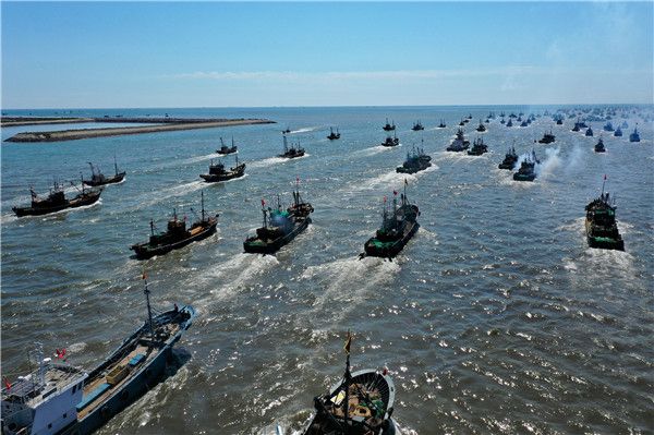 山东荣成黄渤海开海千船出港秋捕