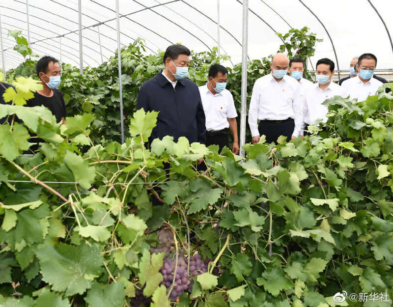 滚动>正文 习近平总书记14日在榆林市绥德县考察调研.