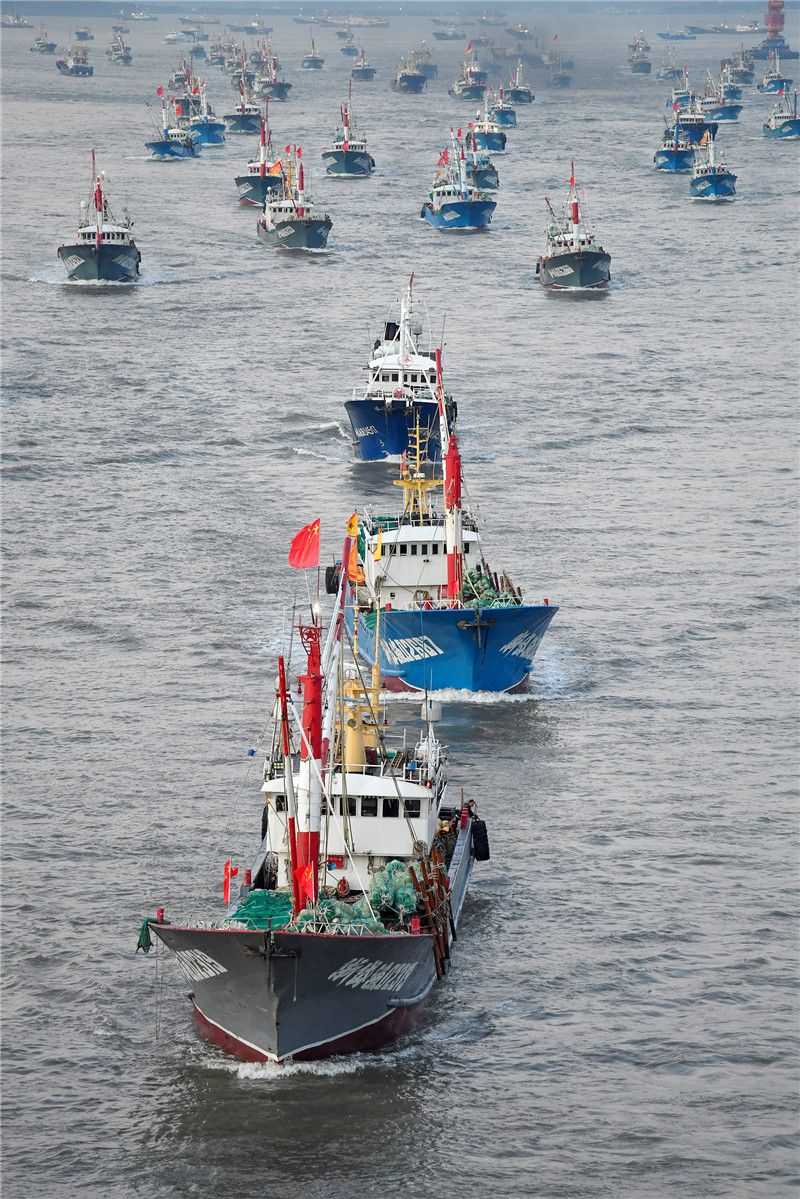 东海伏休全面解禁 浙江舟山近3000艘渔船开捕