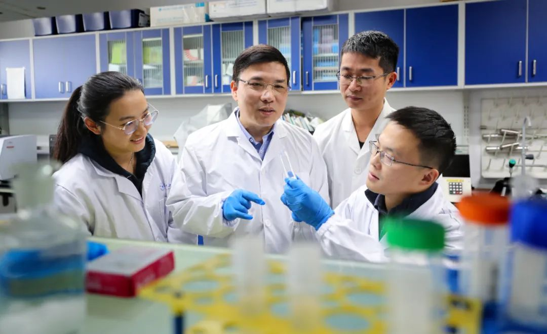 猪圆环病毒病的免疫预防关键技术研究及应用主要完成人:周继勇,刘长明