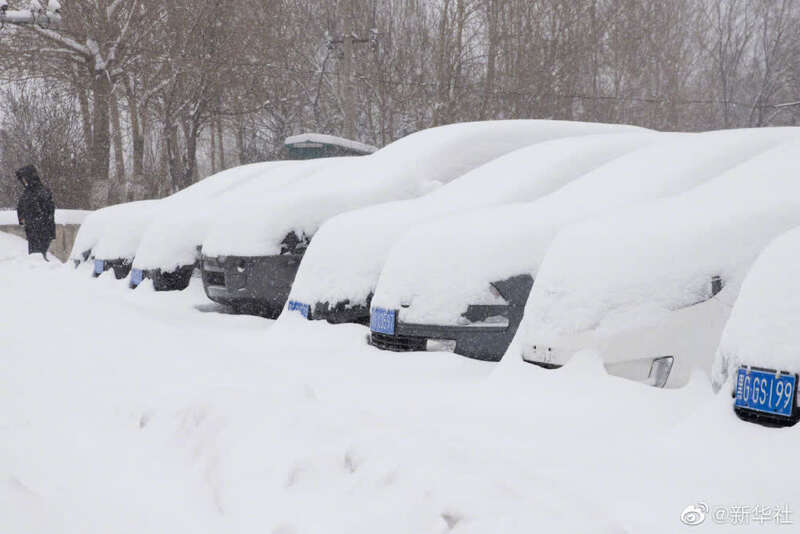 黑龙江多地出现暴雪天气
