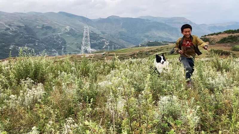 一人一狗一车90后旅行博主星空体育App下载用脚步丈量乡土中国：“粉丝越多责任越(图8)