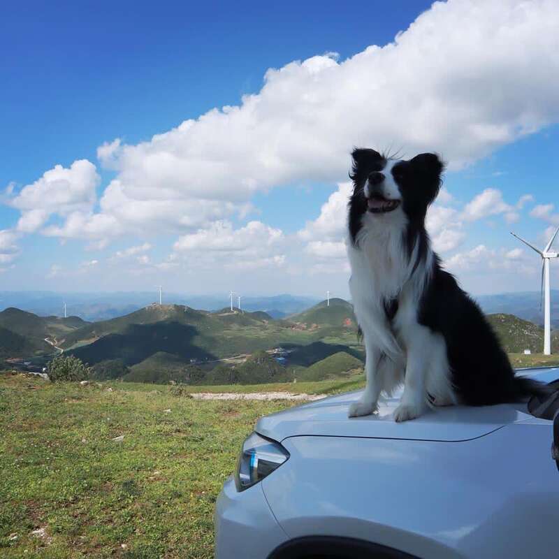 一人一狗一车90后旅行博主星空体育App下载用脚步丈量乡土中国：“粉丝越多责任越(图10)