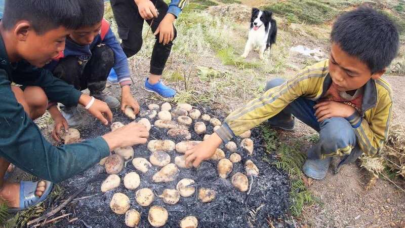 一人一狗一车90后旅行博主星空体育App下载用脚步丈量乡土中国：“粉丝越多责任越(图7)