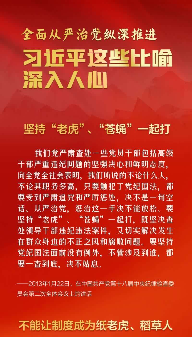 全面从严治党纵深推进习近平这些比喻深入人心