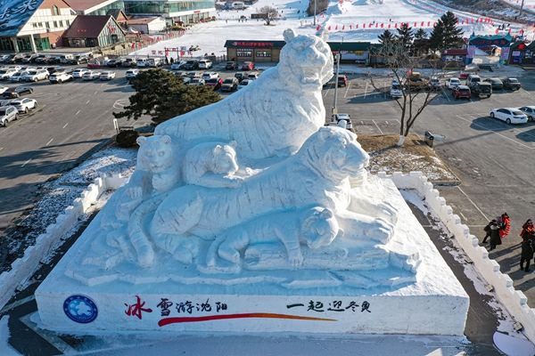 沈阳 巨型生龙活虎雪雕成冬季网红打卡地